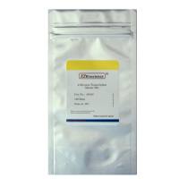 快速逆转录试剂盒（预混型）