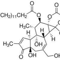 佛波醇12-十四酸酯13-乙酸酯