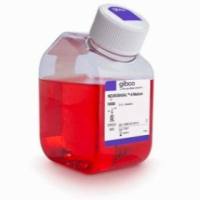 Neurobasal™-A 培养基