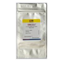 彩色qPCR试剂盒（预混ROX2）