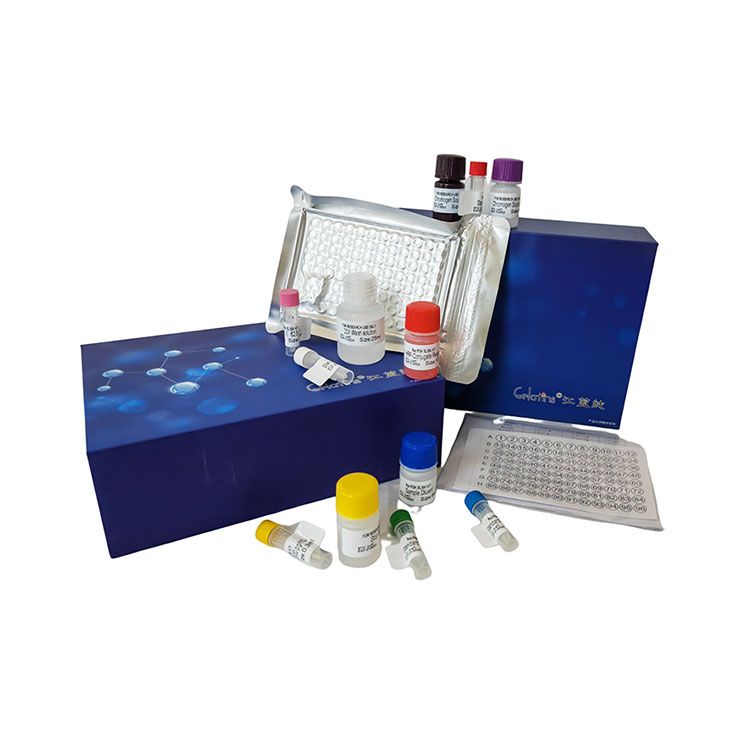 红霉素-N-脱甲基酶(ERND)测试盒_分光光度法(稳定高效灵敏)