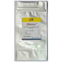 2×SYBR Green qPCR Master Mix (ROX2 plus) (A0001-R2)