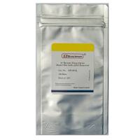 带gDNA Remover逆转录试剂盒