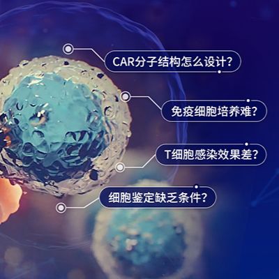 CAR-T细胞治疗体内体外一站式服务/整体课题外包