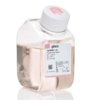 Opti-MEM™ I 减血清培养基，无酚红