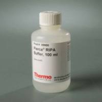 EARIPA 裂解和提取缓冲液