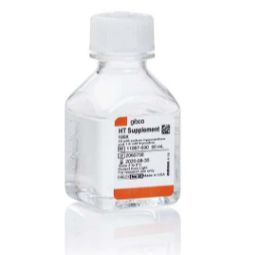 Gibco™ HT 添加剂 (100X)