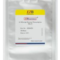 新一代快速逆转录试剂盒（大包装）