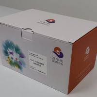 Mouse六项细胞因子检测试剂盒（TNF-α/IFN-γ/IL-6/IL-10/IL-12/MCP-1）