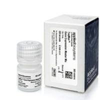 TaqMan™ 基因表达预混液