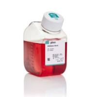 RPMI 1640 培养基，不含葡萄糖