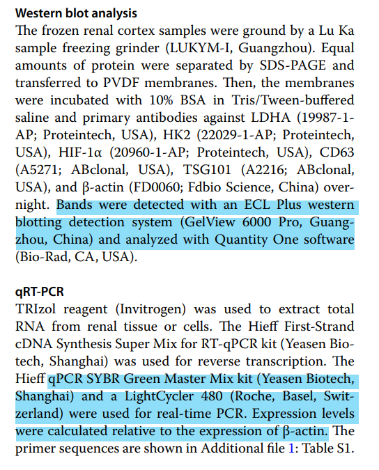 【文献速递】管状上皮细胞外泌体稳定表达HIF-1α（低氧诱导因子蛋白）后可诱导巨噬细胞糖酵解反应