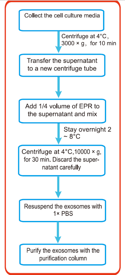 外泌体提取试剂盒