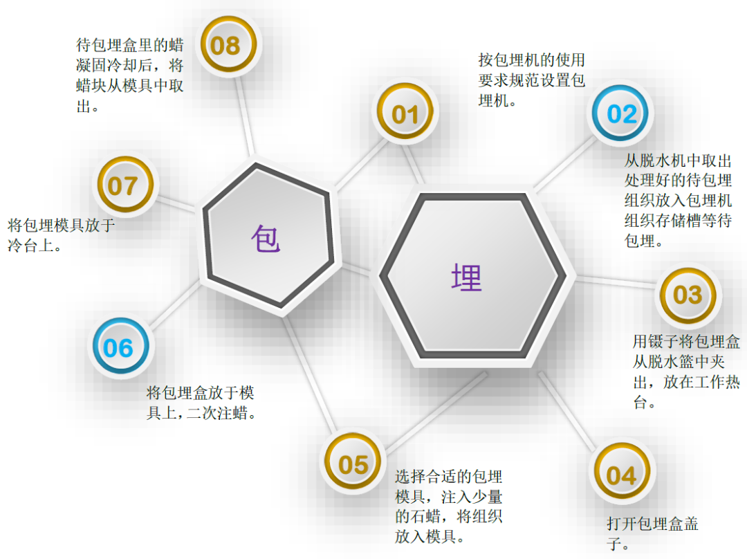 病理 | 组织包埋技术（上）
