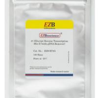 引物独立，带gDNA Remover新一代逆转录试剂盒（大包装）