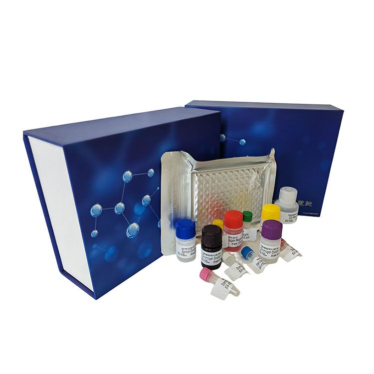 双缩脲法蛋白科研专用测试盒/可见分光光度法