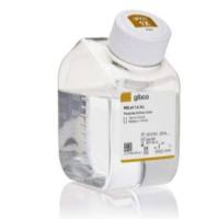 Gibco™ PBS，pH 7.4