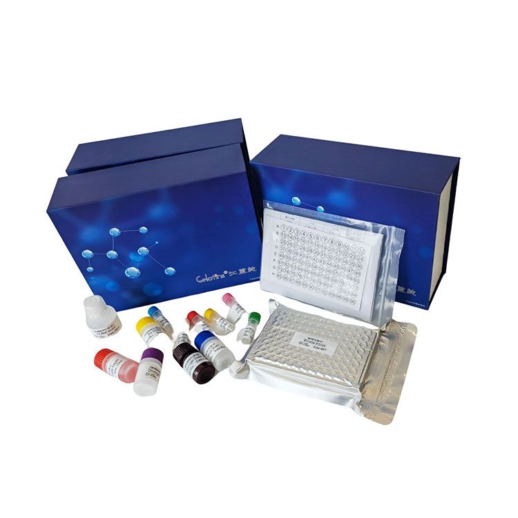 维生素B1科研专用测试盒/可见分光光度法