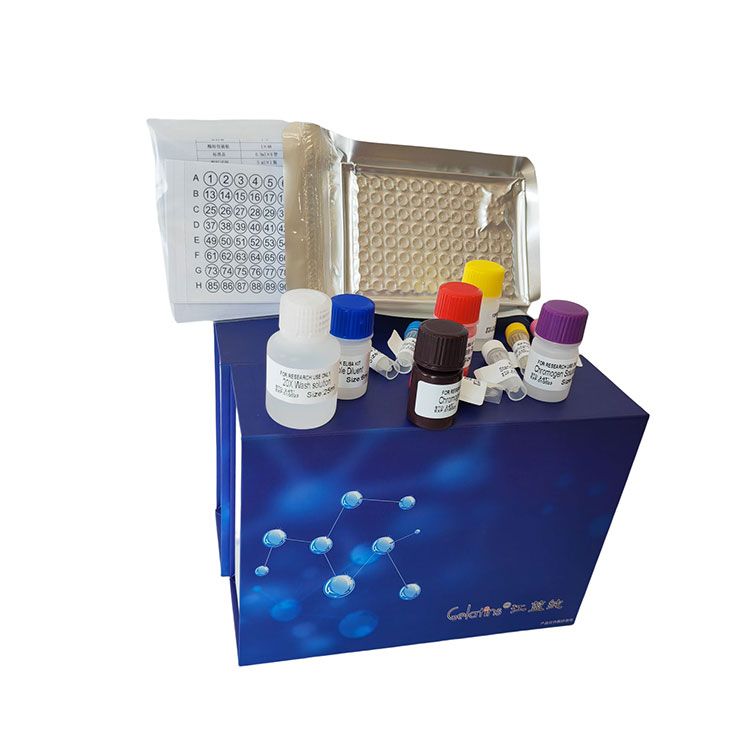 亚铁氧化酶(HP)科研专用测试盒/可见分光光度法