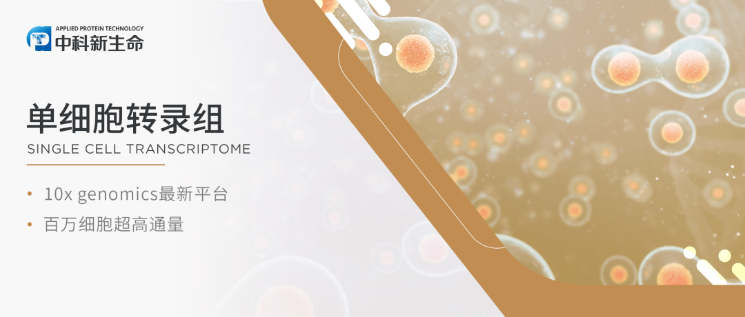 10×单细胞转录组常见Q&A（二）｜实验质控相关