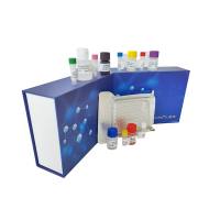 脂氧合酶(LOX)科研专用测试盒/可见分光光度法