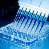 近红外CdTe/CdS量子点表面进行聚合物/多种活性基团修饰偶联