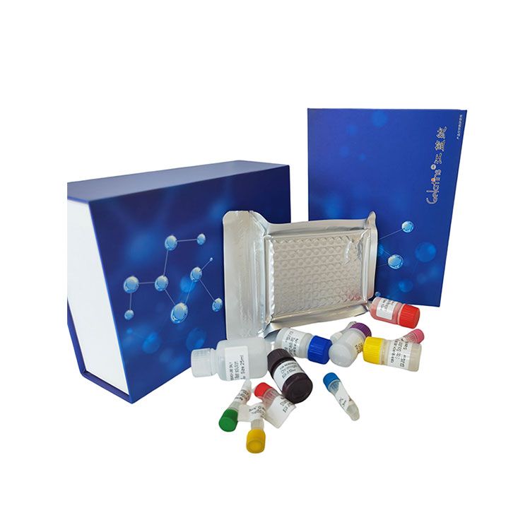 血清低密度脂蛋白(LDL-C)科研专用测试盒/可见分光光度法