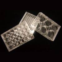 Labserv 96孔培养板 平底 无菌 无热原 1/包 100/箱 310109008