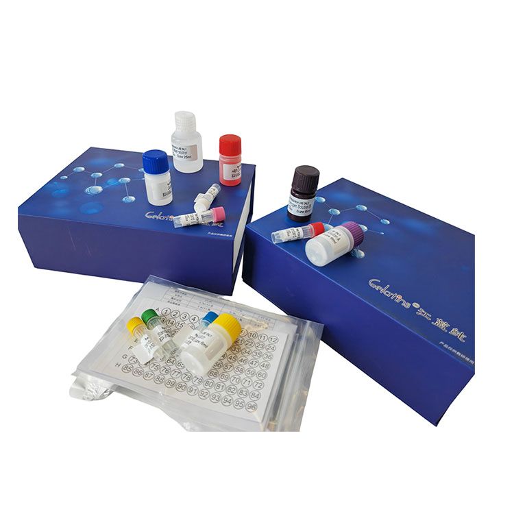 二磷酸核酮糖羧化酶(Rubisco)测试盒_分光光度法(稳定高效灵敏)