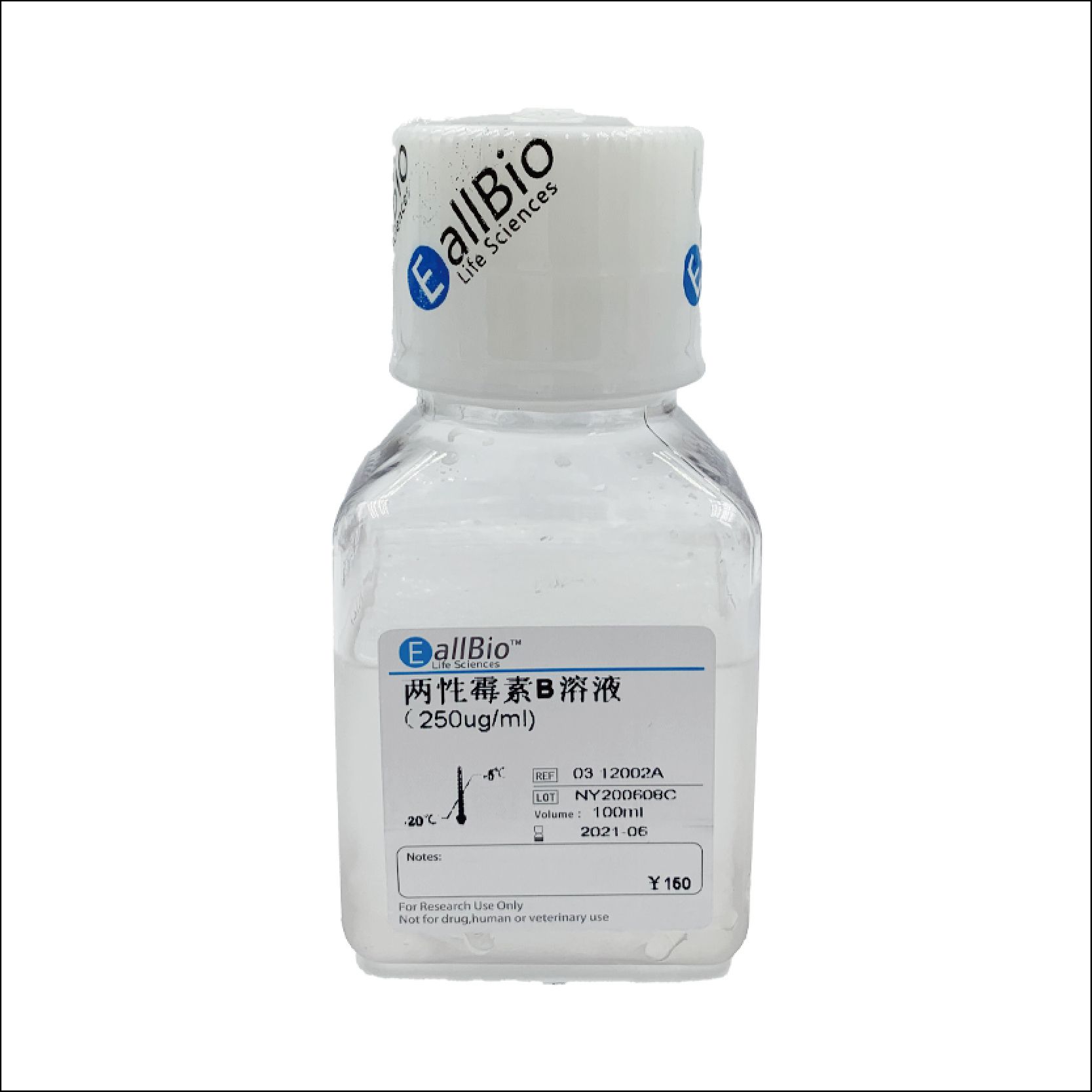 两性霉素B溶液（250ug/ml)