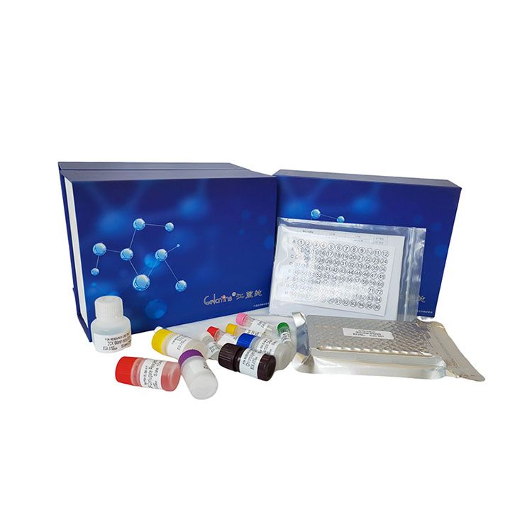 胃蛋白酶(Pepsin)科研专用测试盒/可见分光光度法