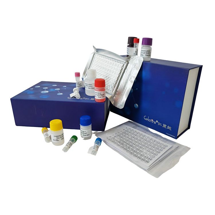 柠檬酸合酶(CS)科研专用测试盒/可见分光光度法