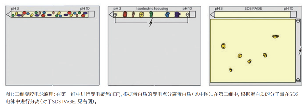 1662736447361030_5.png 1662736447361030_5.png