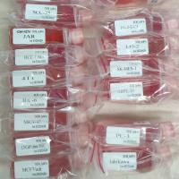 大鼠结膜囊成纤维细胞/免疫荧光鉴定