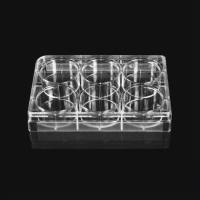 LABSELECT 细胞培养板  11110 11210 11310 11410 11510