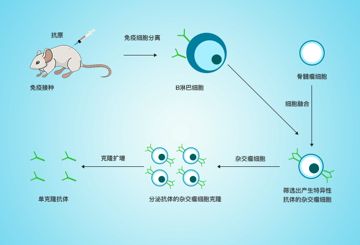 技术资料图片2