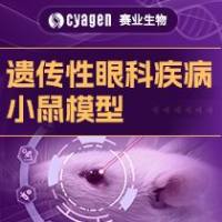 遗传性眼科疾病小鼠模型