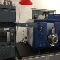 药物临床前CRO服务