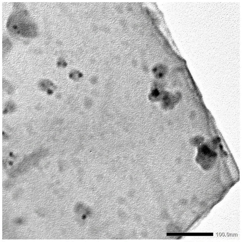 引导试剂-黑磷量子点BPQDs复合材料 实现细胞靶向作用