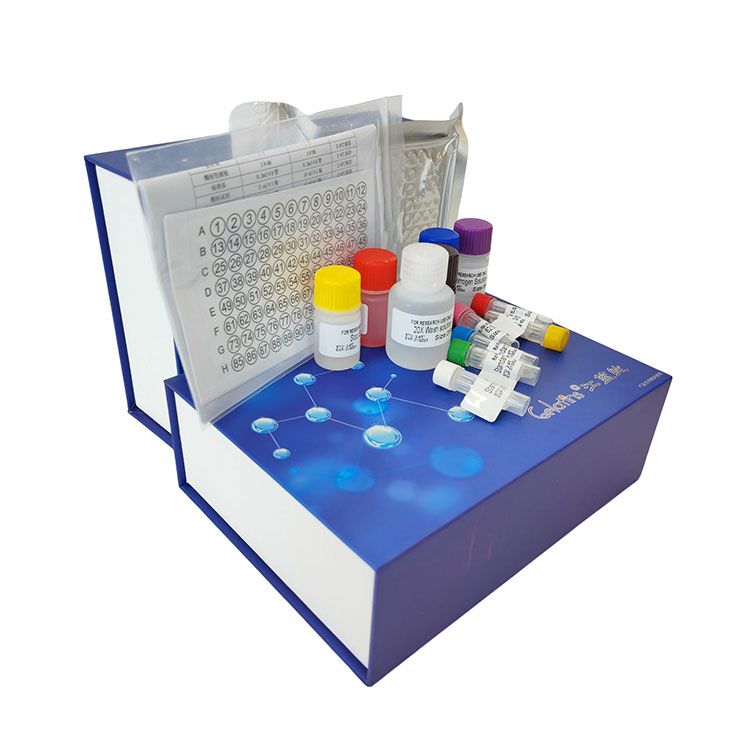 磷酸丙糖异构酶活性检测试剂盒 | TPI含量测试盒_微量法