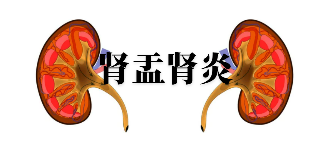 血清降钙素原（PCT）在急性的肾盂肾炎诊断中的意义