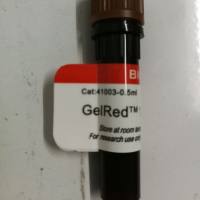 Biotium货号41003核酸染料GelRed替代EB上海睿安生物19121878899