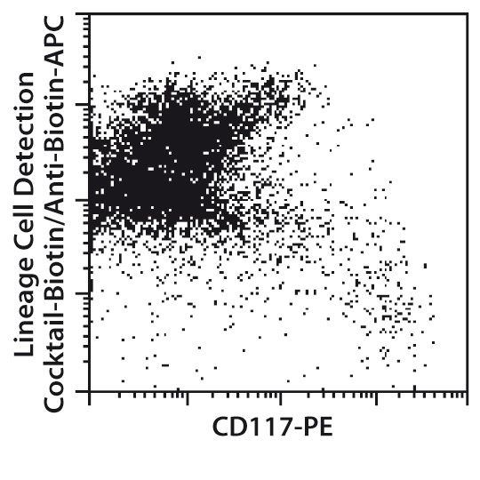  CD117 MicroBeads, mouse