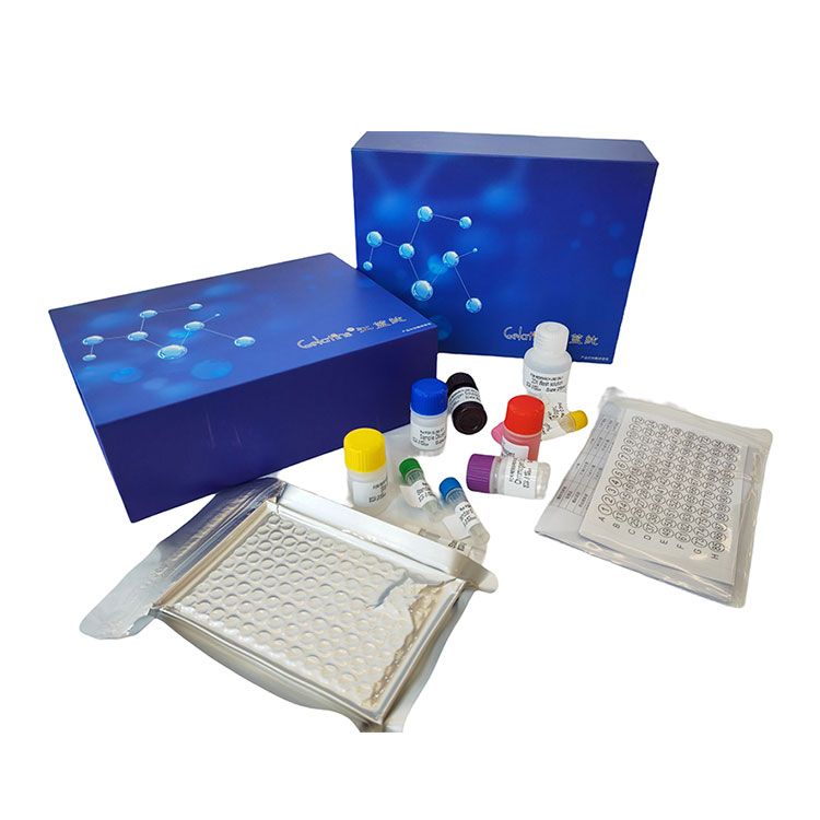 BCA蛋白法检测试剂盒 | BCA蛋白法含量测试盒_微量法