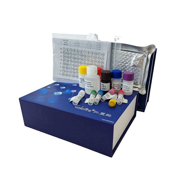 谷氨酰胺合成酶(GS)测试盒_分光光度法(稳定高效灵敏)