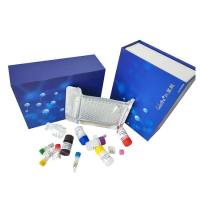 中性蛋白酶(NP)测试盒_分光光度法(稳定高效灵敏)