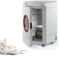 小动物脂肪骨密度测量仪，大鼠骨密度测量仪，小鼠骨密度测量仪