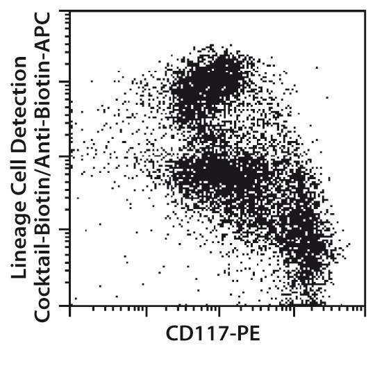  CD117 MicroBeads, mouse
