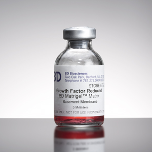 Lymphocyte Serum-Free Medium, 