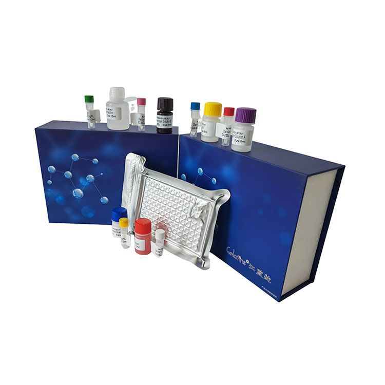 漆酶活性检测试剂盒 | Laccase含量测试盒_微量法